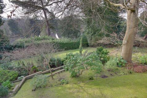 Garden (View from Patio)