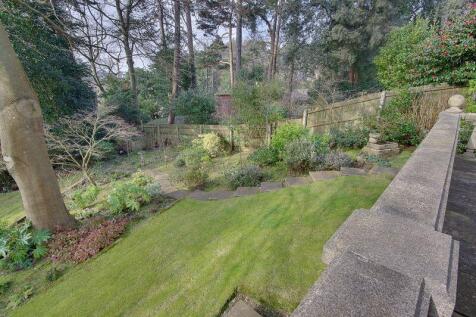 Garden (View from Patio)