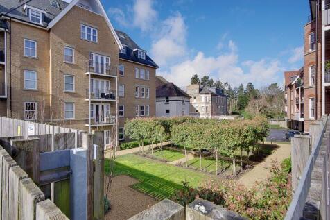 Communal Garden