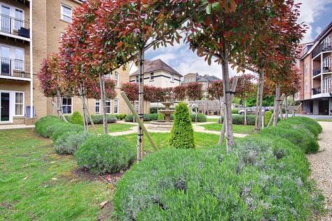 Communal Garden