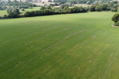 DJI_0059.JPG