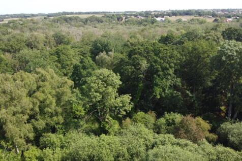 DJI_0956.JPG