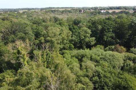DJI_0953.JPG