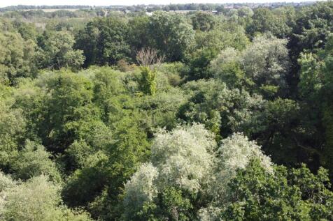 DJI_0950.JPG