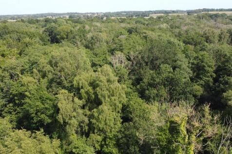 DJI_0955.JPG
