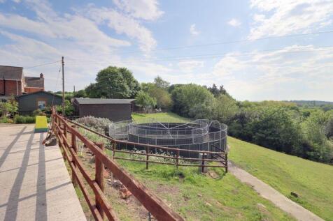 Training Ring