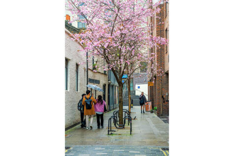 Stukeley_Street_2...