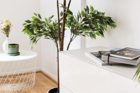 81H Odhams Walk- ...