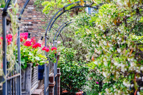 Neal_Street_31
