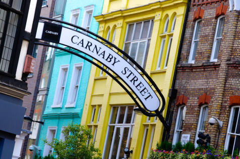 Tavistock Bow - C...