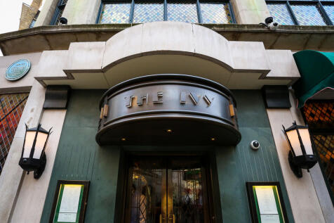 The Ivy