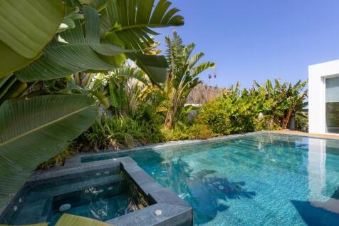 Pool &amp; Jacuzzi
