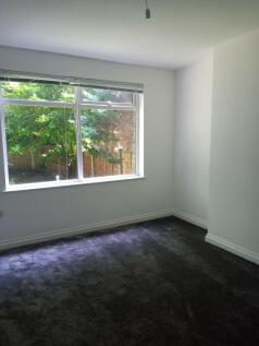 Rear lounge
