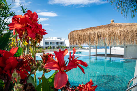 Pool Bar