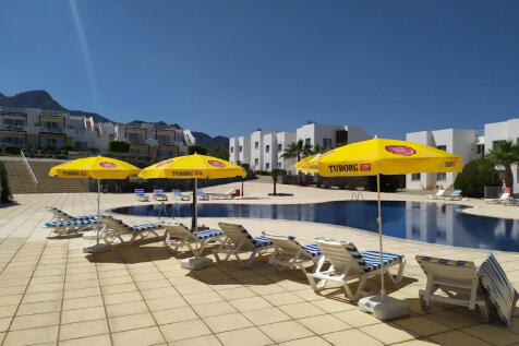 pool with loungers