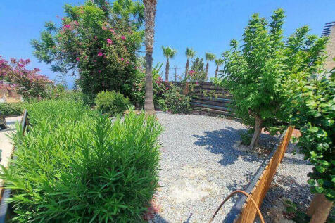 gardens, palms