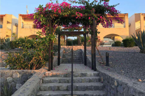 Site image