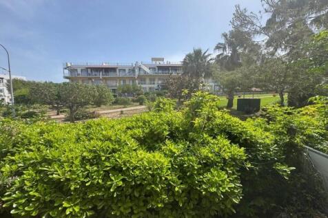 grounds