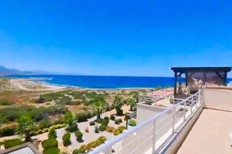 View from roof