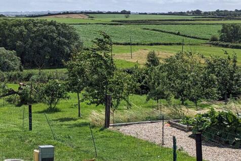 Vegetable Garden &amp; Orchard