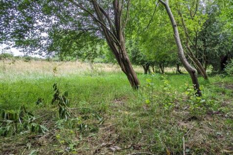 Copse