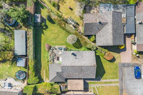 Bird&#39;s-Eye View