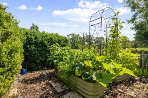 Vegetable Patch