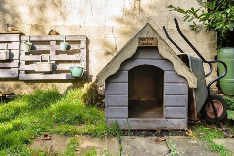 Dog House