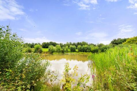 Property Image 39