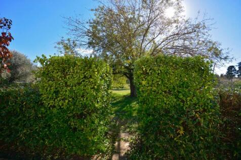 Property Image 34
