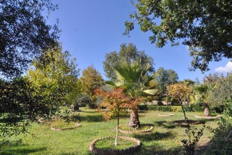 Property Image 45
