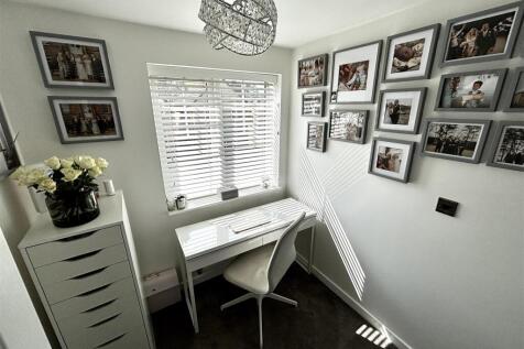 Study Area