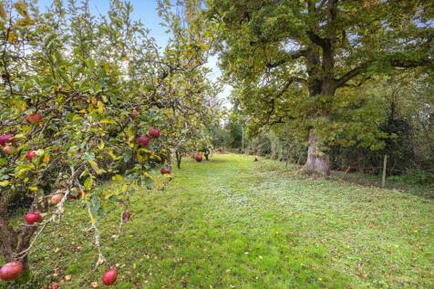 Property Image 26