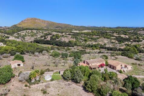 Aerial (1)