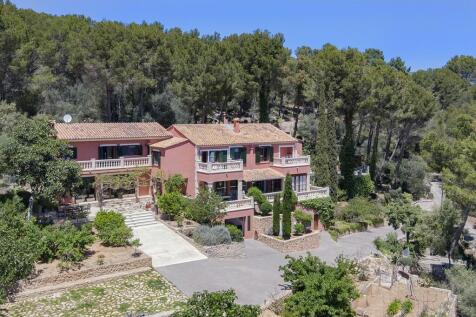 Aerial (1)
