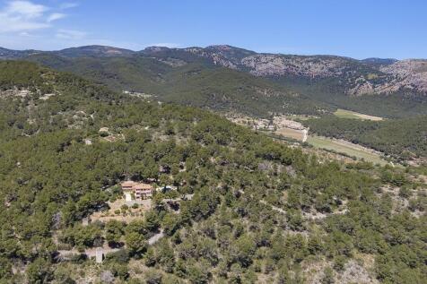 Aerial (7)