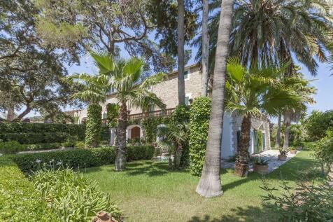 finca (2)