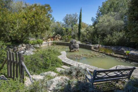 Pond