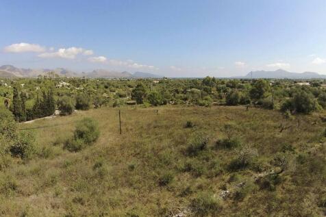 Real View from 1st F