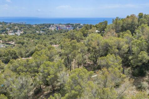Aerial (3)