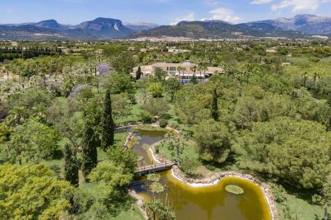 Aerial (4)