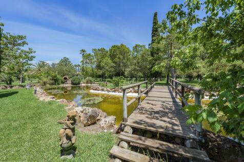 Pond (2)
