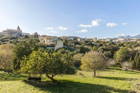 Campanet Countryside