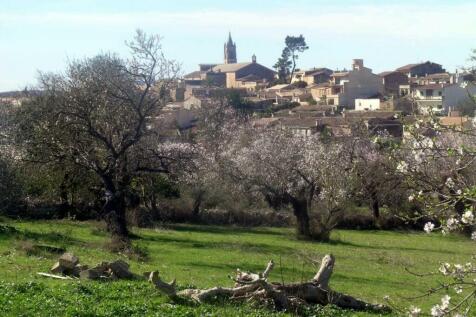 View of Llubi