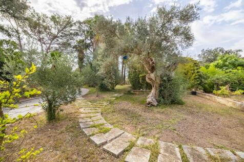 Garden (1)