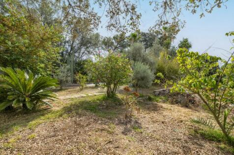 Garden (3)
