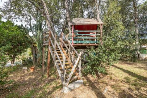 Tree House