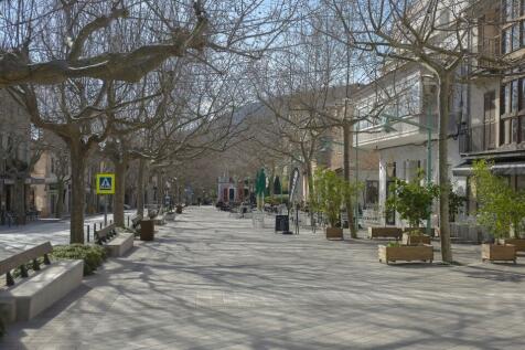 Passeig del rei_2