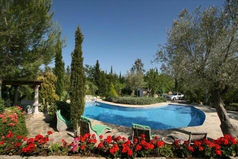 pool and garden