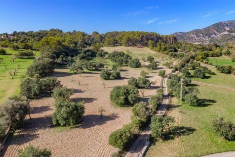 Aerial (7)